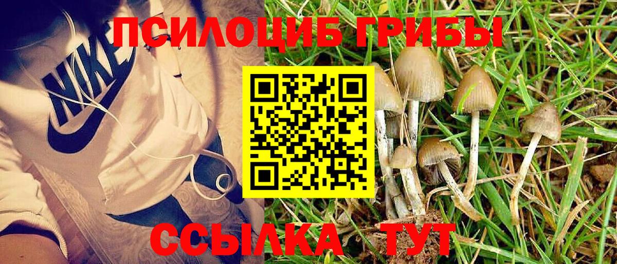 Псилоцибиновые грибы Psilocybine cubensis  Галлюциногенные грибы Psilocybe  Вход с VPN  Калининград 
